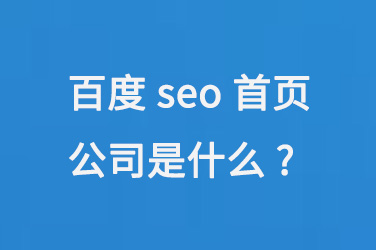 ٶseoҳ˾ʲô